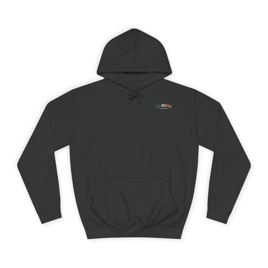 Firefighter Irish American Shield Hoodie